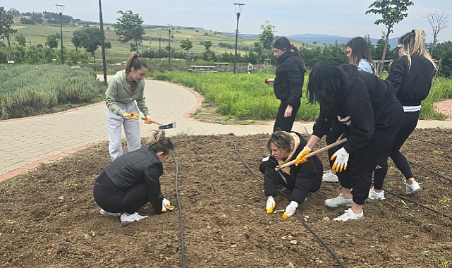Öğrenciler adaçayı dikti