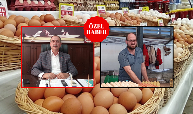 Yumurta fiyatları hızla düşüyor: iç pazarda büyük değişim