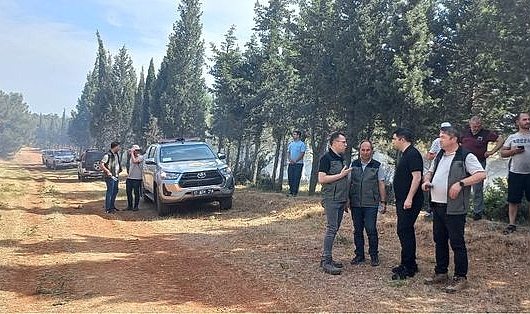 Bayramiç'te tarım arazisinde başlayan yangın söndürüldü