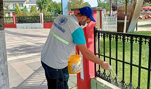 Biga'da haşerelere karşı mücadele