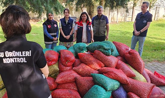 Çanakkale'de 3 ton kaçak Kum Şırlanı ele geçirildi