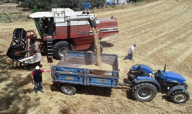 Çanakkale'de arpa çeşitleri hasat edildi