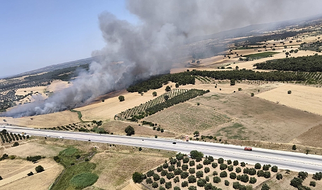 Çanakkale'de yangına müdahale devam ediyor!
