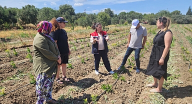 Çanakkale İl Tarım ve Orman Müdürlüğü, Halileli köyünde tarımsal incelemelerde bulundu