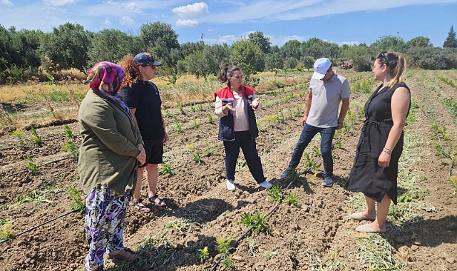 Çanakkale İl Tarım ve Orman Müdürlüğü, Halileli köyünde tarımsal incelemelerde bulundu