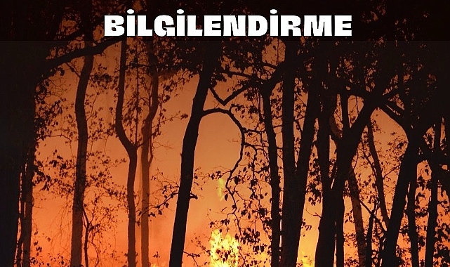 Çanakkale ormanlarına giriş yasağı