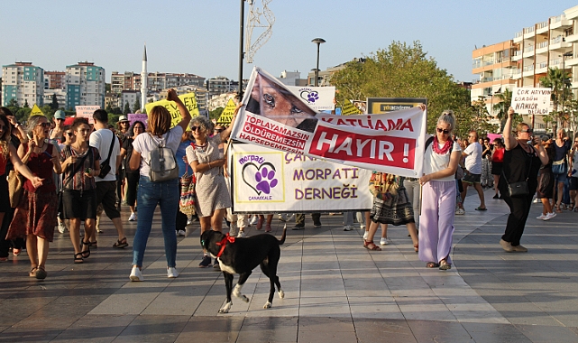 Çanakkale sokak hayvanları için yürüdü