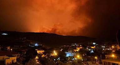 Diyarbakır ve Mardin'de yangın!