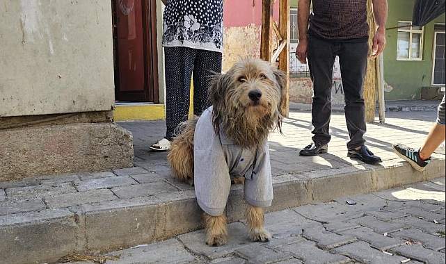 Fevzipaşa'nın sevimli maskotu Paşa gülümsetti