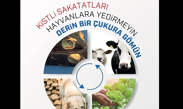 Kist hidatikten korunma yolları