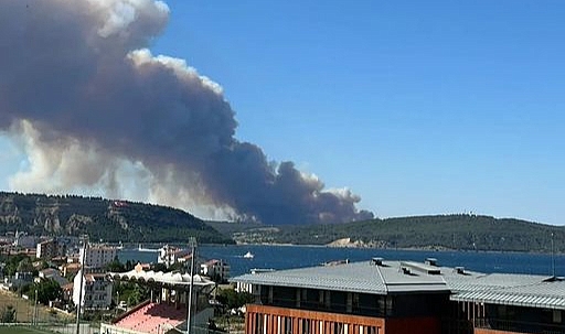 Milletvekili Güneşhan'dan yangın sonrası açıklama