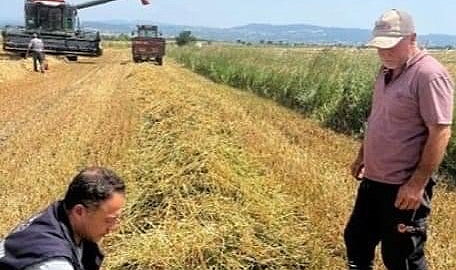Müdür Türkarslan yangınlara karşı uyardı