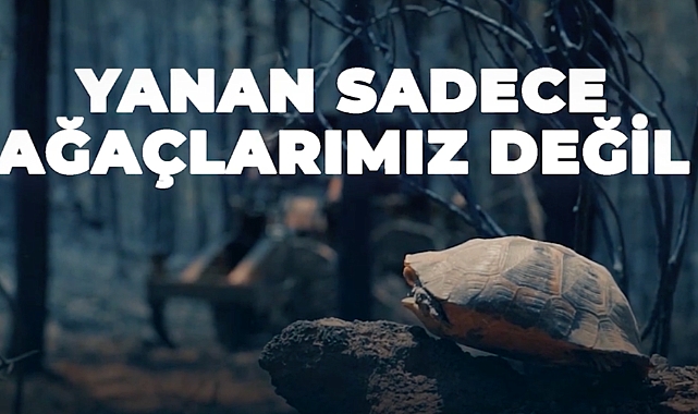 Sıcak hava ve orman yangınları uyarısı