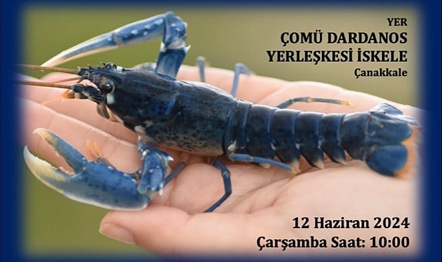 Türkiye’de bir ilk!