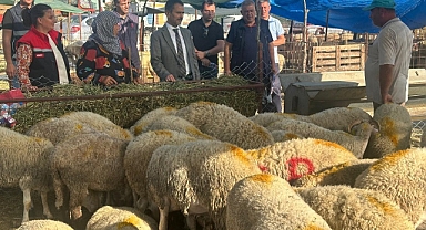 Vali Aktaş’tan canlı hayvan pazarına ziyaret