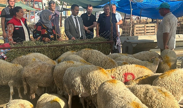 Vali Aktaş’tan canlı hayvan pazarına ziyaret