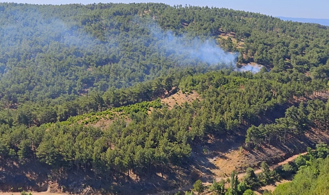 Alakeçi Köyü'nde yangın