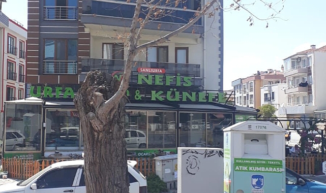 Çanakkale Belediyesi’nden yeni ağaçlandırma çalışmaları