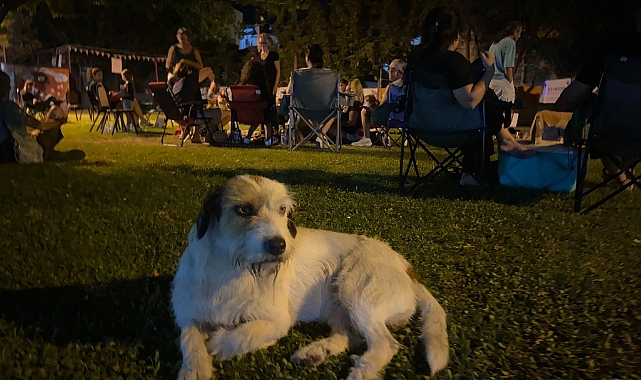 Çanakkale’de hayvan hakları için gece boyu direniş