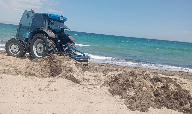 Gelibolu Belediyesi, Eğritaş Sahilinde temizlik çalışmalarına başladı