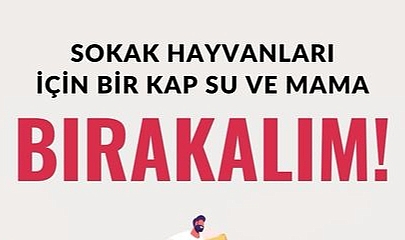 Lapseki Belediyesi'nden sokak hayvanları için çağrı