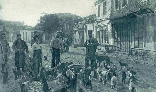 Milletvekili Güneşhan; “Oyum hayır!”