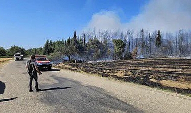 AKUT, Gelibolu'daki orman yangınına destek için operasyona çıktı