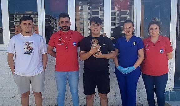 Çanakkale Belediyesi'nden sokak hayvanlarına yuva çağrısı