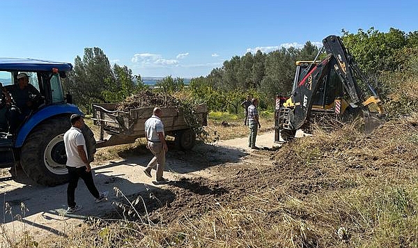Çardak Belediyesi'nden, Salvaş Yolu temizlik çalışmaları