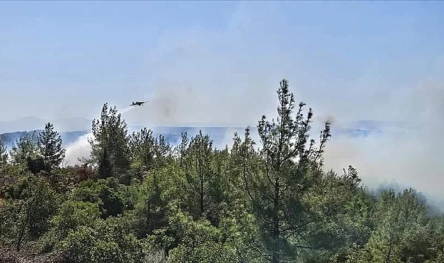 Halil Ertuğrul'dan Eceabat'a geçmiş olsun mesajı