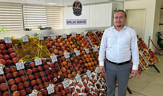 Lapseki Şeftali Festivali'nde jüri değerlendirmeleri tamamlandı