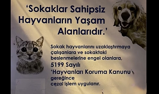 Bozcaada Belediyesi sokak hayvanlarının yanında