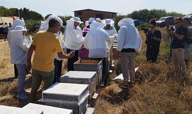 Bozcaada’da “Bal Hasadı Şenliği” düzenlendi