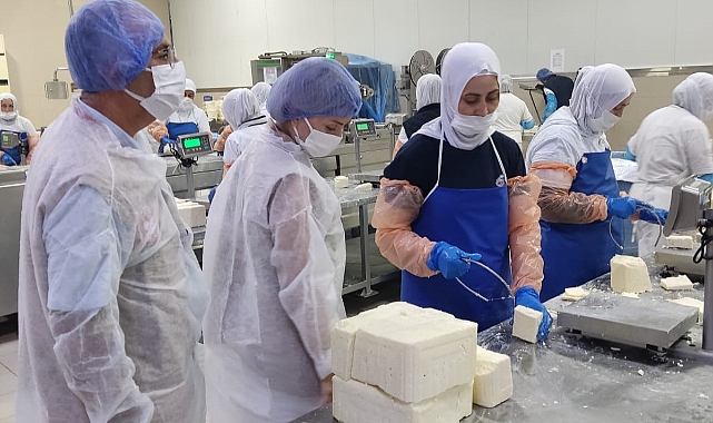 Çanakkale'de süt ve süt ürünleri üreten işletmelere sıkı denetim