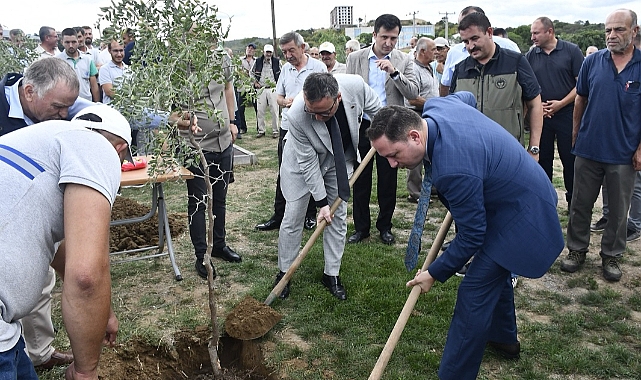 Çavuşköy hünnabı dikildi