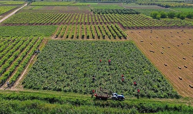Çiftçilere 1,3 Milyar TL destek