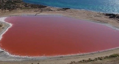 Dünya’da sadece 8 tane var: Dalyan Gölü pembeye döndü