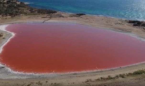 Dünya’da sadece 8 tane var: Dalyan Gölü pembeye döndü