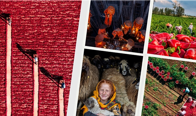 14. Uluslararası Tarım Orman ve İnsan Fotoğraf Yarışması sonuçlandı