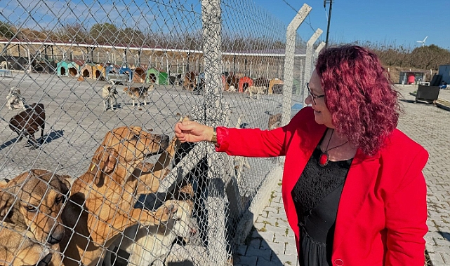 Ayşe Korucuoğlu'ndan tesis ziyaretleri