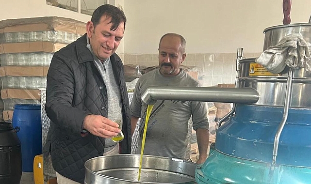 Başkan Atalay’dan zeytin hasadı ziyaretleri