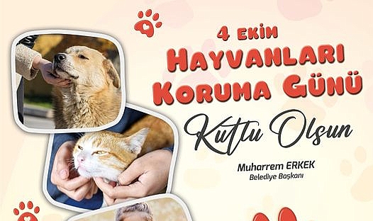 Başkan Erkek'ten 4 Ekim Hayvanları Koruma Günü mesajı