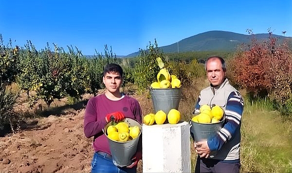 Bayramiç Ayvasına Şiirli Kutlama