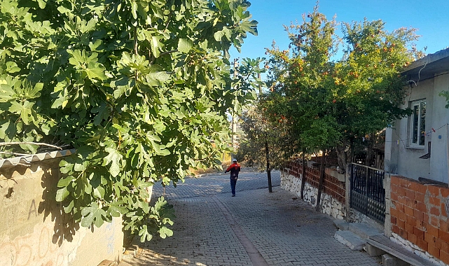Bayramiç Belediyesi’nden ağaç budama ve fidan sökümü duyurusu