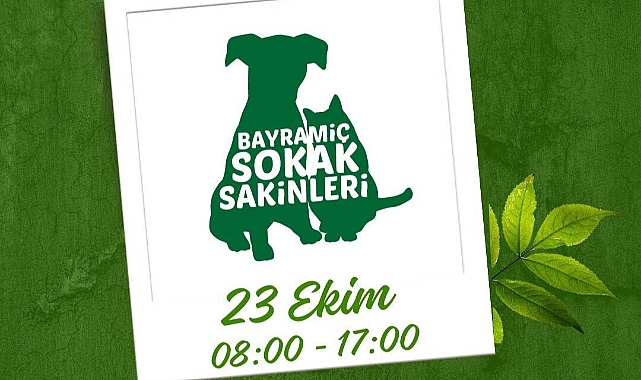 Bayramiç’te hayvan dostlar için kermes