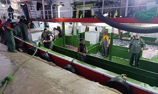 Biga’da Hamsi Kotası Uygulaması denetimleri sürüyor