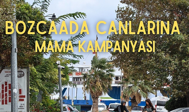 Bozcaada’da sokak hayvanları için mama kampanyası