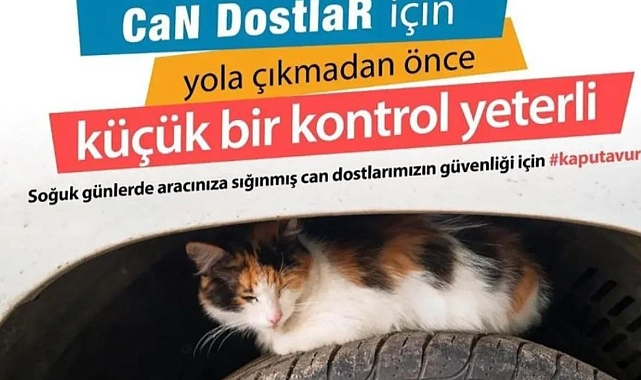 Çanakkale Belediyesi Veteriner İşleri'nden önemli uyarı
