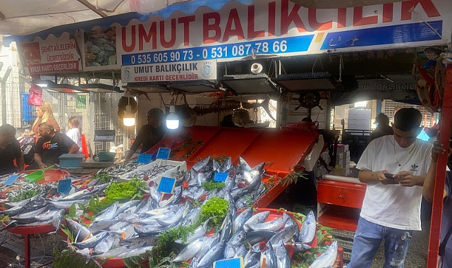 CUMPA güncel balık fiyatları