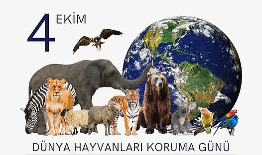 Gökçeada Belediyesi'nden 4 Ekim Dünya Hayvanları Koruma Günü mesajı